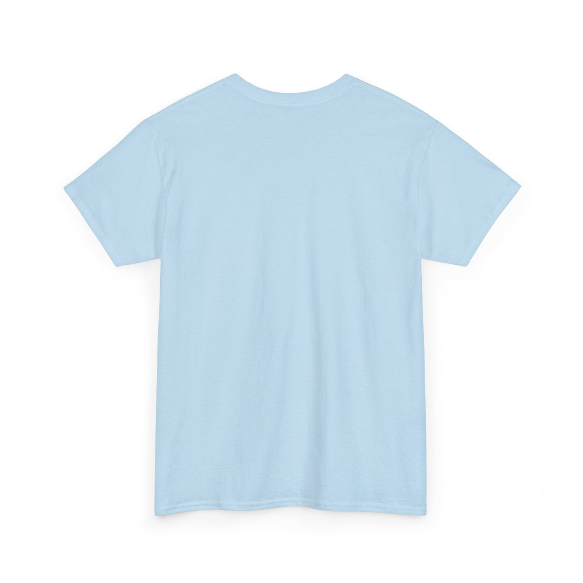 Plain T-Shirt - Unisex Heavy Cotton Tee
