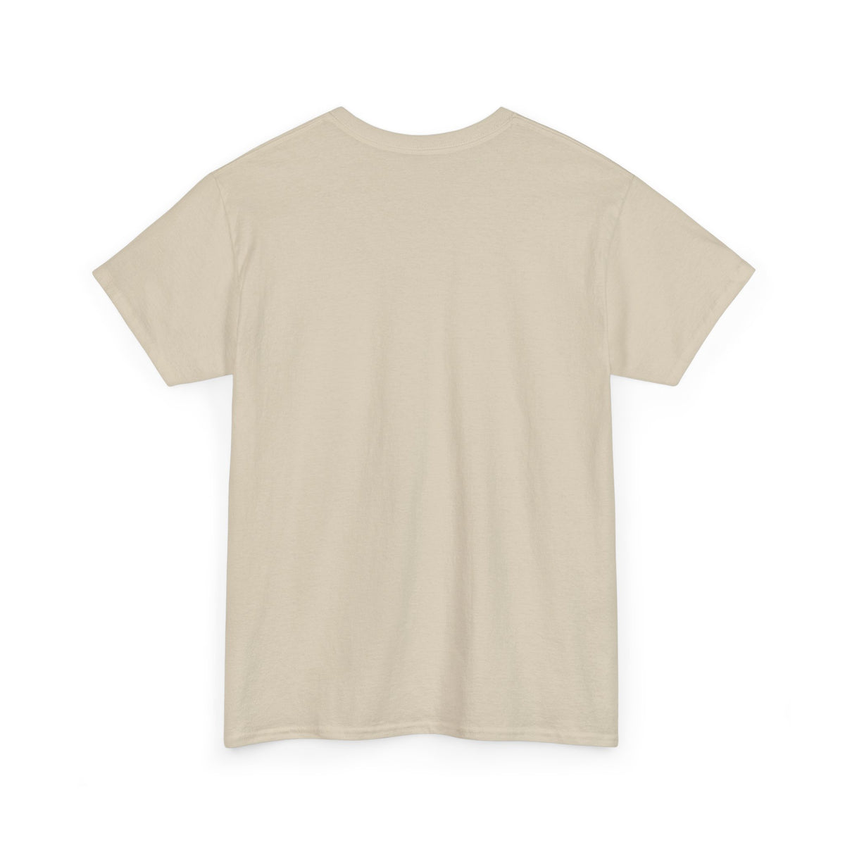 Plain T-Shirt - Unisex Heavy Cotton Tee