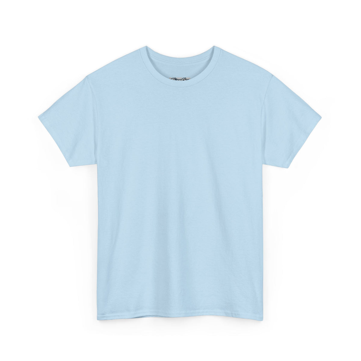 Plain T-Shirt - Unisex Heavy Cotton Tee